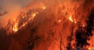 Amazonlar’dan sonra Afrika’daki ormanlar da yangına teslim