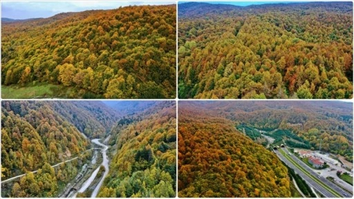 Anadolu Otoyolu'nun Bolu Dağı kesimi sonbahar renkleri arasında yolculuk imkanı sunuyor