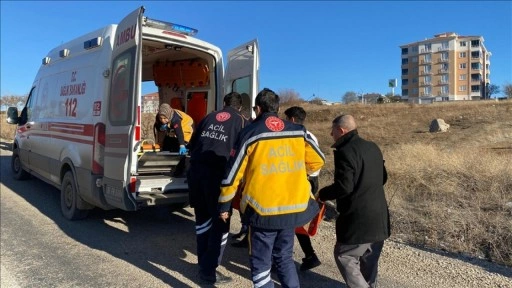 Ankara'da sokak köpeklerinin saldırısına uğrayan çocuk yaralandı