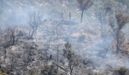 Antalya'da çıkan orman yangınında 5 hektar alan zarar gördü