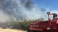 Antalya'da hamamdan ağaçlık alana sıçrayan yangın kontrol altına alındı