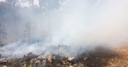 Antalya’daki orman yangını kontrol altına alındı !