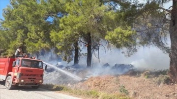 Antalya'da çıkan orman yangınına havadan ve karadan müdahale ediliyor