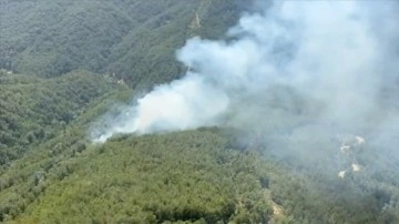 Antalya'nın Manavgat ilçesinde ormanlık alanda yangın çıktı