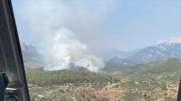 Antalya'nın Serik ilçesinde orman yangını çıktı