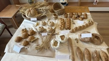 Antik çağ ekmekleri üniversite öğrencisinin tezinde fırınla buluştu