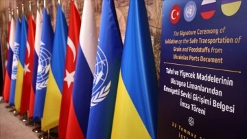 Arap Birliği, İstanbul'daki tahıl koridoru anlaşmasını memnuniyetle karşıladı