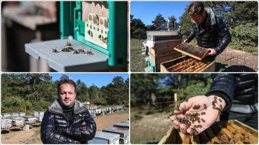 Arı alerjisini yendi, Uludağ'ın eteklerinde kestane balı üretiyor