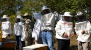 Arıcılar arı zehrine yöneldi