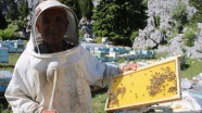 Arıcılar bu yıl bal verimi ve kalitesinden umutlu