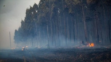 Arjantin'in orta kesiminde etkili olan orman yangını yerleşim alanlarına sıçradı