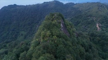 Artvin'de üç arkeolojik kazı alanında jeoradar çalışması yapıldı