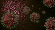 Aşı ile insana verilen antikorun mutasyona uğrayan virüsü tanımaması beklenen bir gelişme değil