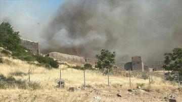 Assos Antik Kenti'nin de yer aldığı köyde çıkan yangına müdahale ediliyor