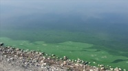 Atatürk Baraj Gölü'nün kıyısında renk değişimi