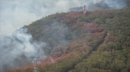 Avustralya'daki yangınlarda yaklaşık 5 milyon hektarlık alanı kül oldu
