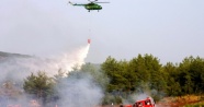 Aydın ve Muğla'da 300 orman yangını çıktı