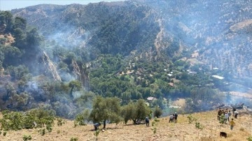 Aydın'da kontrol altına alınan ormanlık ve zeytinlik alandaki yangın yeniden yükseldi