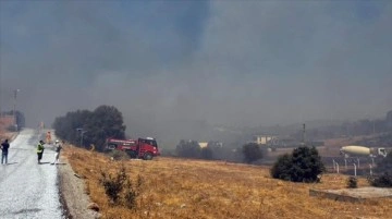 Aydın'da makilik alandaki yangın kontrol altına alındı