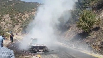 Aydın'da otomobilde başlayıp ormana sıçrayan yangın kontrol altına alındı