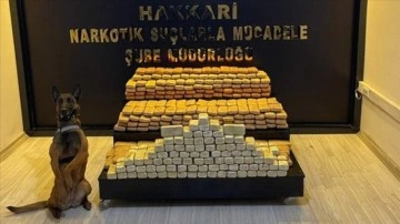 Bakan Soylu: Hakkari'de 241 kilogram eroin ele geçirildi