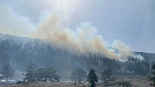 Balıkesir'de çıkan orman yangını söndürüldü