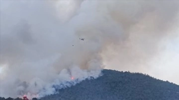 Balıkesir'de çıkan orman yangınını kontrol altına alma çalışmaları sürüyor