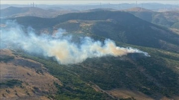 Balıkesir'de ormanlık alanda çıkan yangına müdahale ediliyor