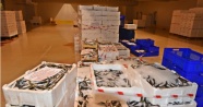 Balıkta yasal boy sınırına uymayan 21 ton balığa el konuldu