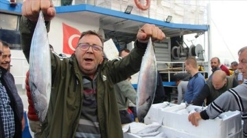 Bandırma Balık Hali'nde palamut bolluğu yaşanıyor