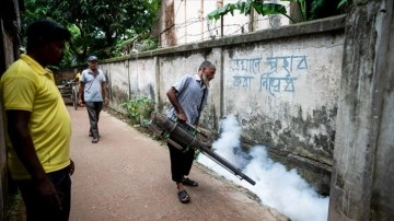 Bangladeş'teki dang humması vakalarının dörtte birinden fazlası Dakka'nın güneyinde