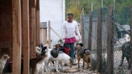Banka kredisiyle kurduğu 'Patiköy'de sokak hayvanlarına sahip çıktı