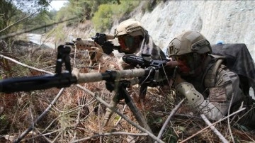 Barış Pınarı bölgesinde 10 PKK/YPG'li terörist etkisiz hale getirildi