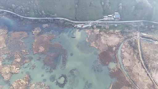 Batı Karadeniz'in kuş cenneti Efteni Gölü'nde 'Dünya Sulak Alanlar Günü' etkinliği