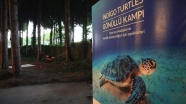 Belek'te caretta carettalar için 'yaşam nöbeti'