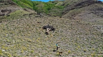 Besiciler hayvanları için Mereto Dağı eteklerindeki yaylaya çıkıyor