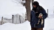 Besicilerin zorlu kış şartlarıyla mücadelesi