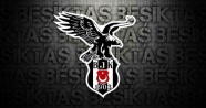 Beşiktaş, Kocaeli Birlikspor'u satın alıyor