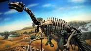 Bilim adamları diş döken dinozor türü keşfetti