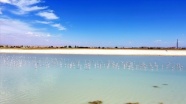 Bitlis&#039;in “kuş cenneti“ Arin Gölü kuraklık nedeniyle küçülüyor