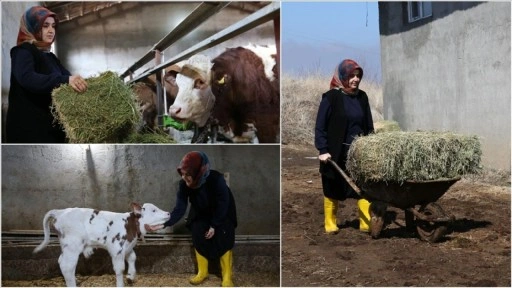 Bitlisli kadın girişimci büyükbaş hayvan sayısını 2 yılda 6'ya katladı