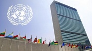 BM'den Arakan'a erişimin sağlanması çağrısı