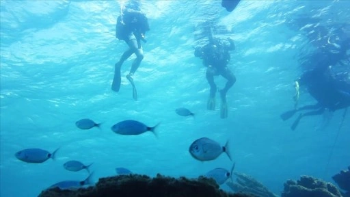 Bodrum'da dalış meraklılarının eğitimi görüntülendi