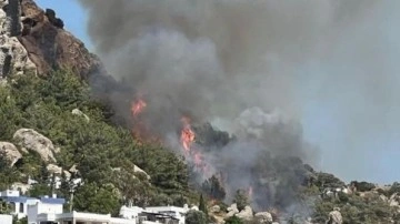 Bodrum'da makilik ve otluk alanda çıkan yangın kontrol altına alındı