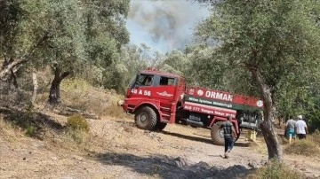 Bodrum'da ormanlık alanda yangın çıktı