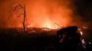 Bolivya'daki yangın 2 milyon hektar alanı kül etti