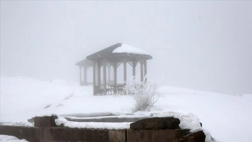 Bolu Dağı ve Bitlis'te sis ve soğuk hava etkili oldu