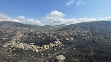 Bolu'da kontrol altına alınan yangında soğutma çalışması sürüyor