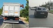 Boru taşıyan otomobil trafiği tehlikeye düşürdü