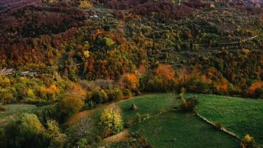 Bosna Hersek'in güneyi sonbahar renklerine büründü